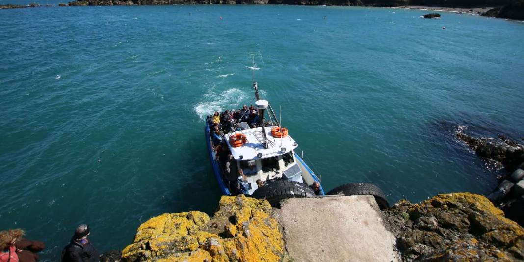 Şartları karşılayın burada huzurla yaşayın! Doğa tutkunları için biçilmiş kaftan: Gören bile hayran kalıyor! 6